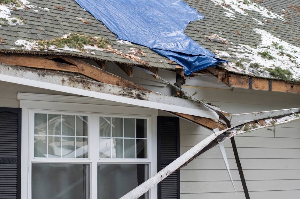 Fallen trees damaging a roof
