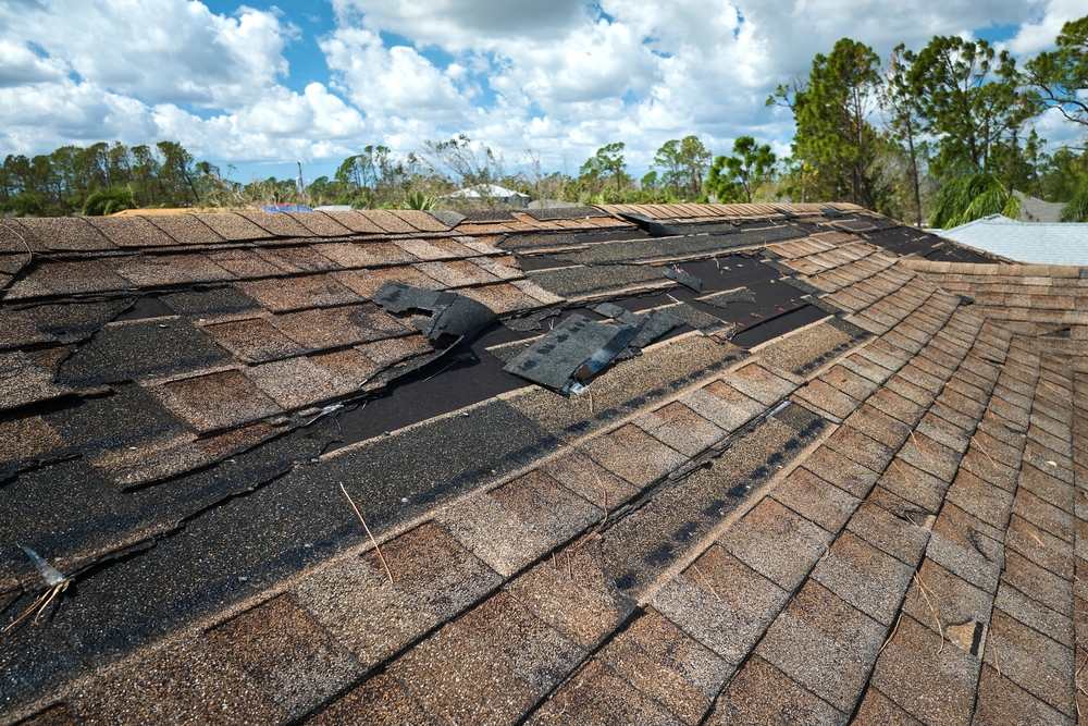 A roof with damaged and missing shingles.